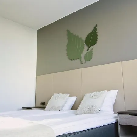 Hotelli Savonlinna מלון