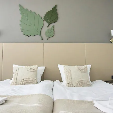 Hotelli Savonlinna מלון *